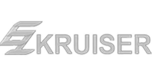 Advanced EV Logo